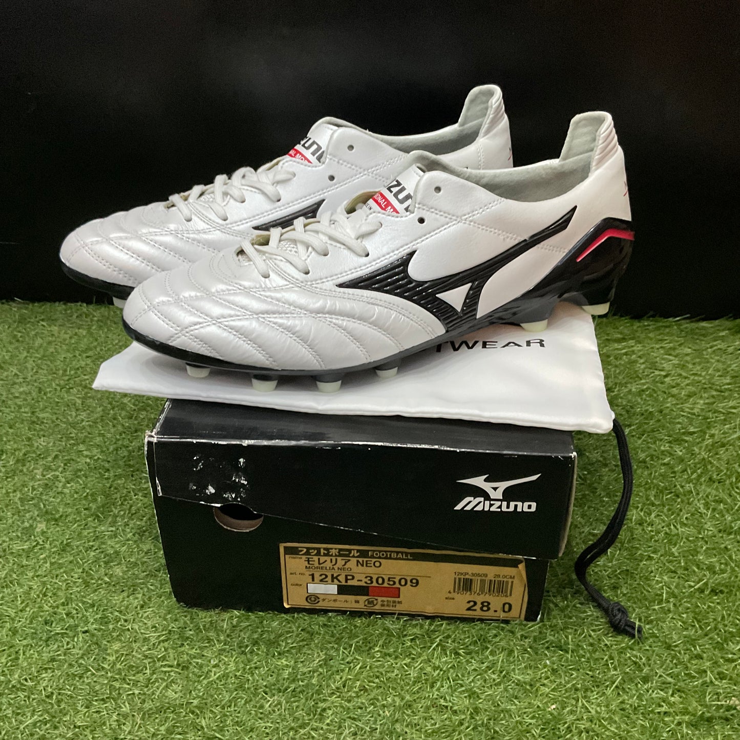 モレリアNEO 12KP-30509