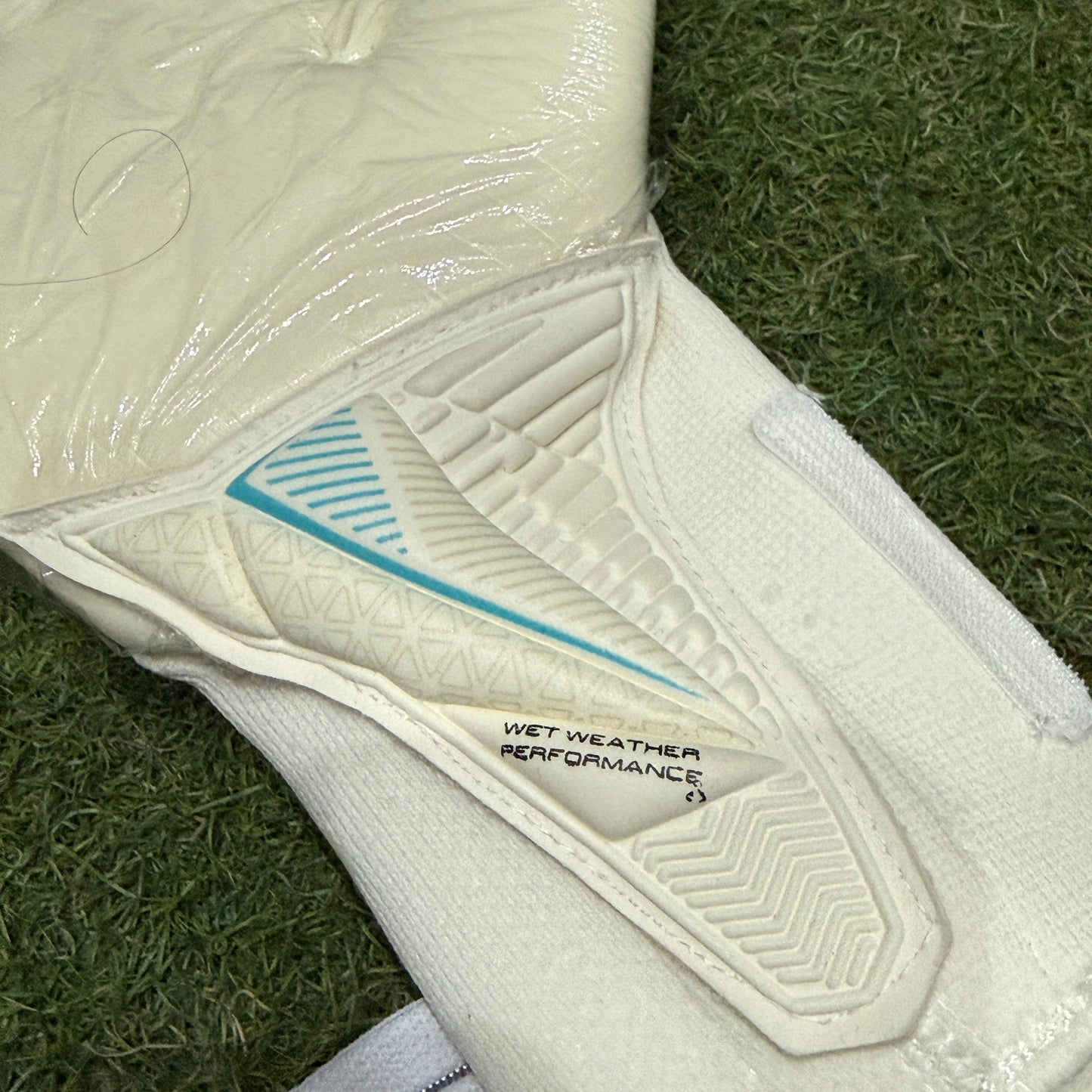 セルス コンタワーアクアフィット Sells CONTOUR AQUA FIT SGP202305G