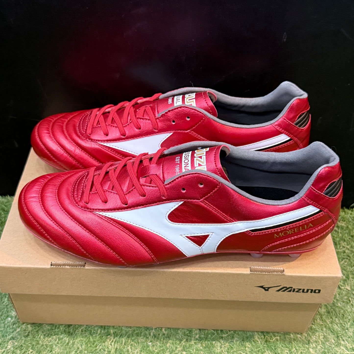 日本未発売 モレリア2 ELITE AG P1GA250560