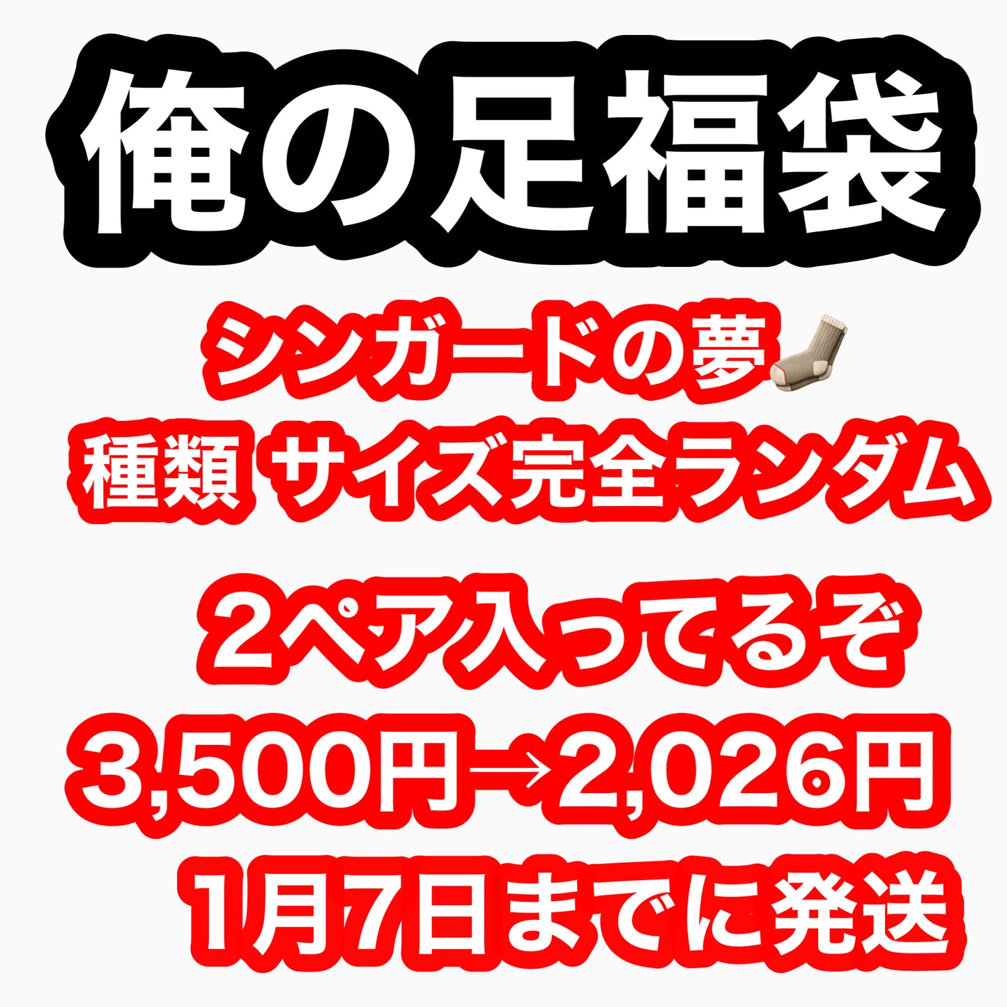 シンガードの夢 ランダム2ペア 1/7までに発送 #俺の足福袋