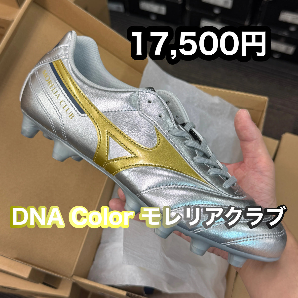 高耐久モレリアクラブ
