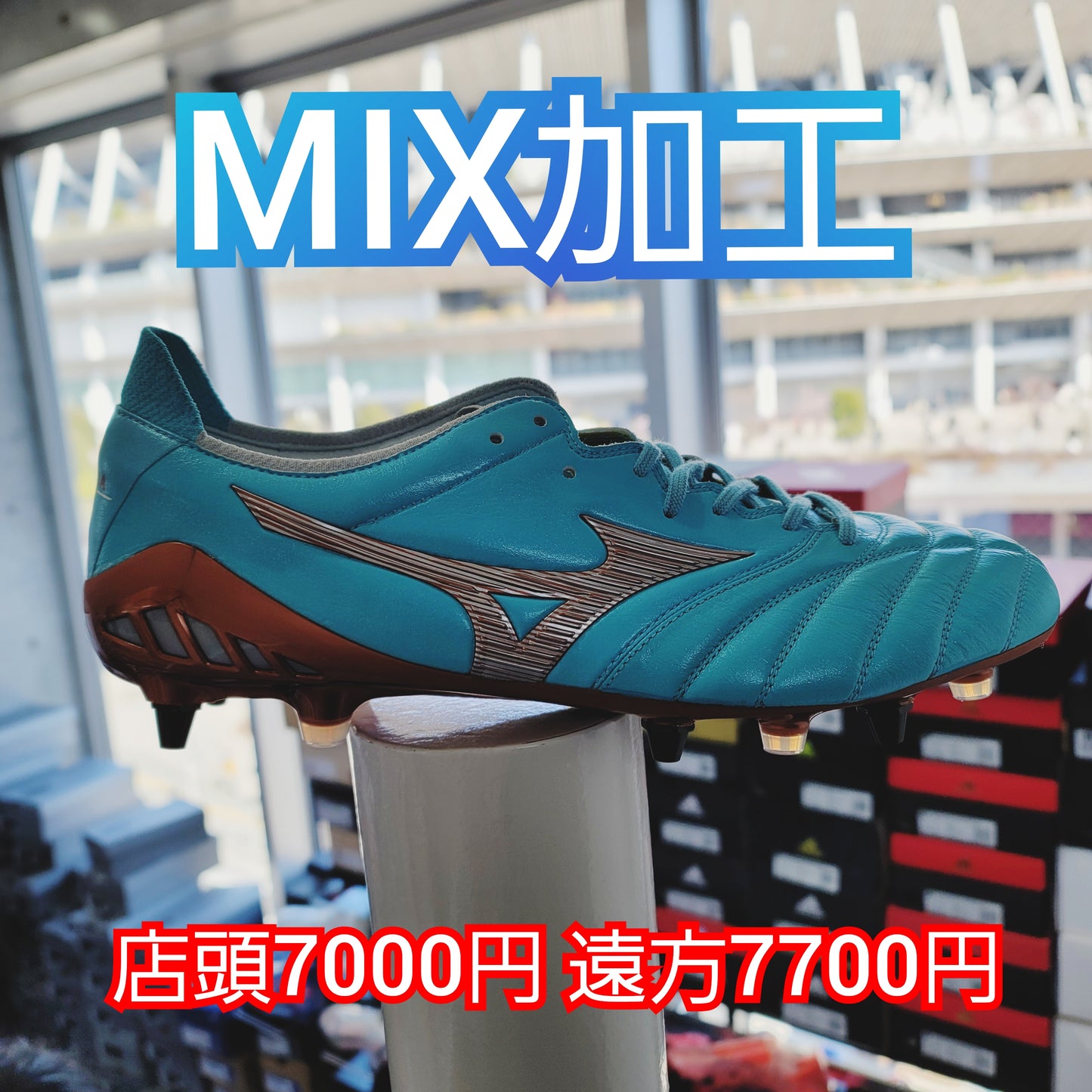 p1ga239804