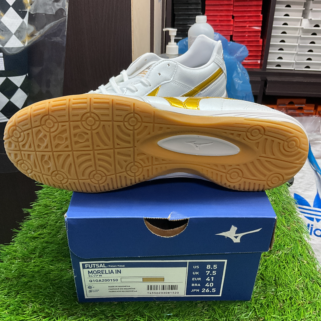 Morelia in モレリアイン Q1GA200150