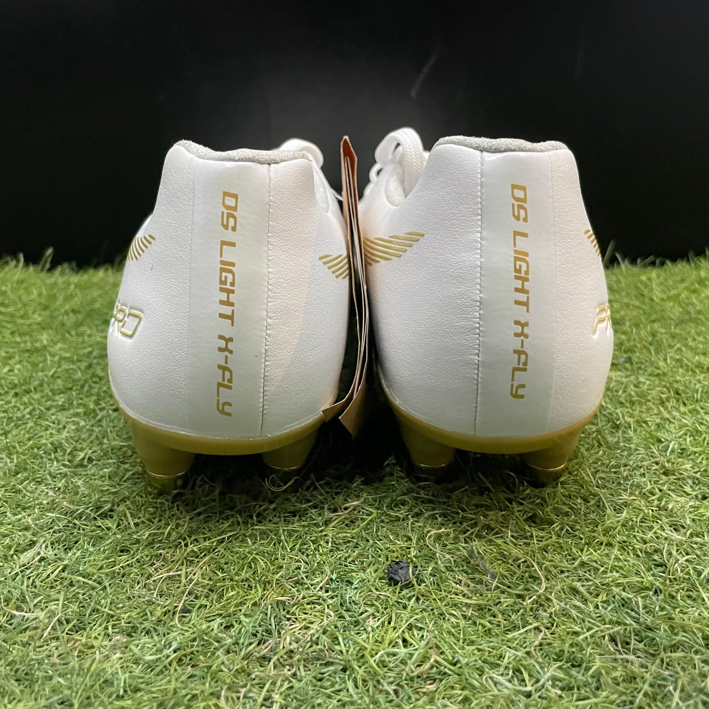 店舗限定 DS LIGHT X-FLY PRO ST 25.0 1101A026