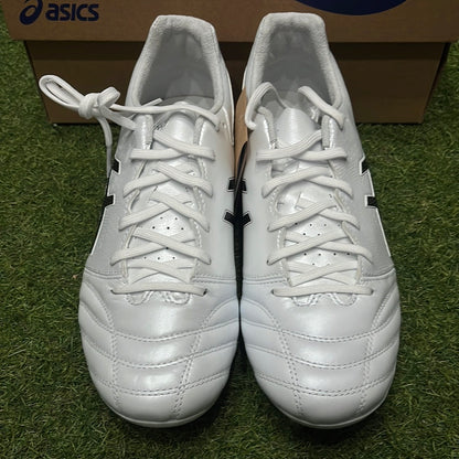 通販限定 DS LIGHT PRO 1103A095 101