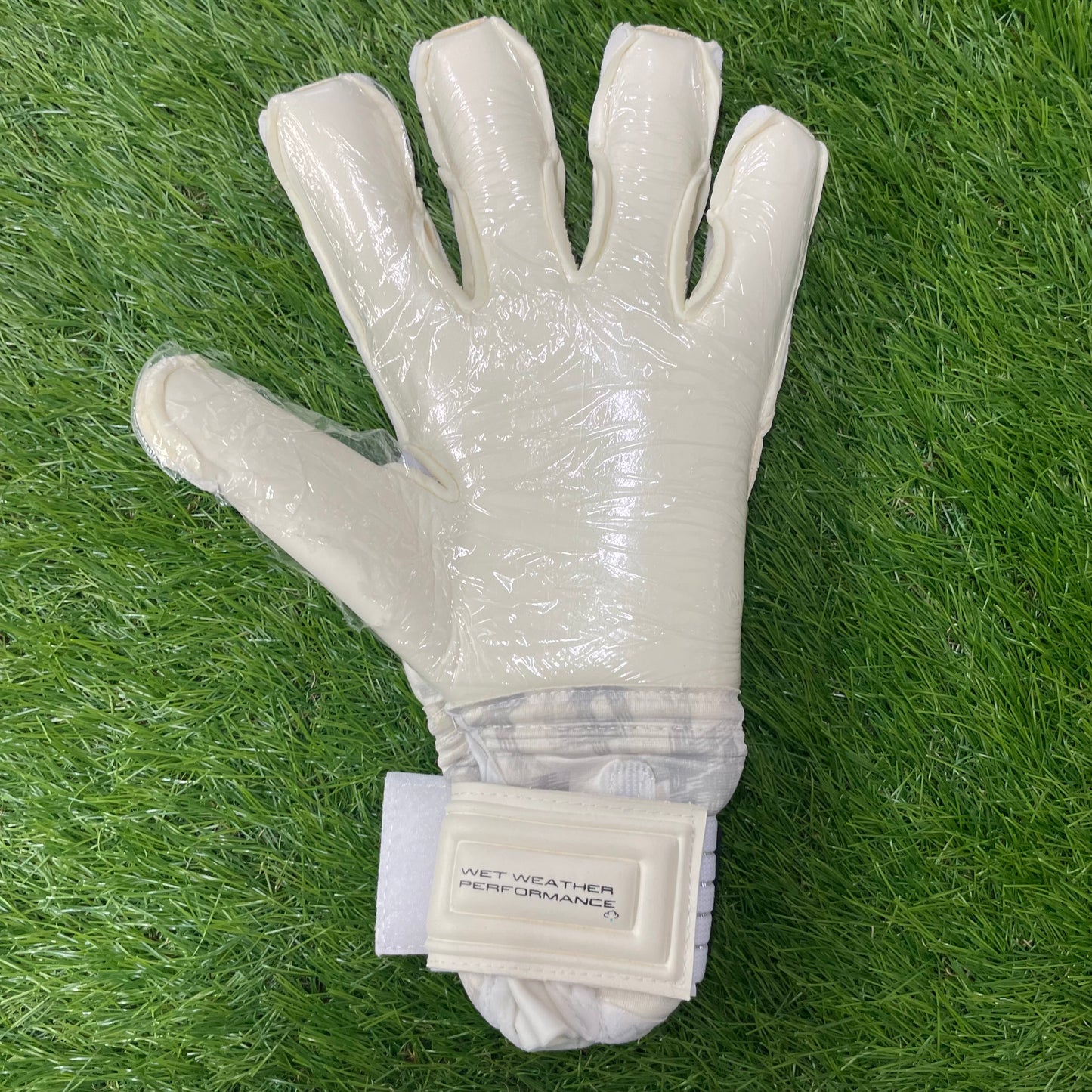 セルス　トータルコンタクト　アクア　プライム　Sells Total Contact Aqua Prime