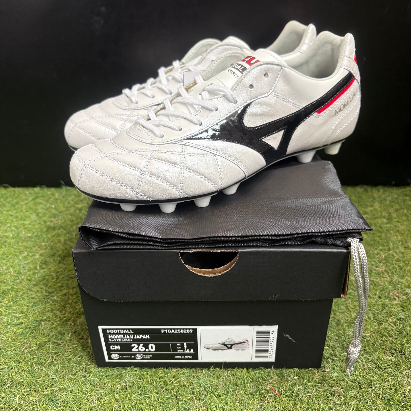 クロスステッチ モレリア2 JAPAN P1GA250209 MADE IN JAPAN