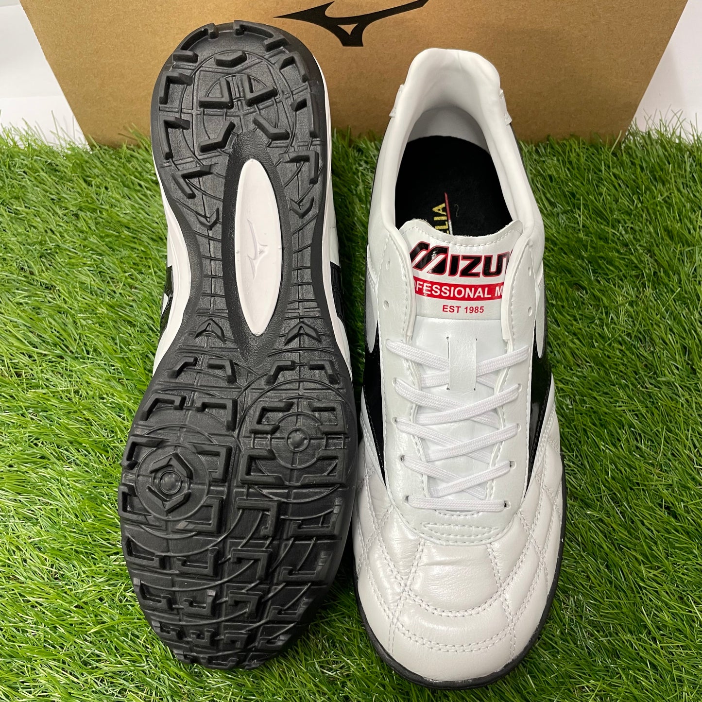 モレリア TF Q1GB190209