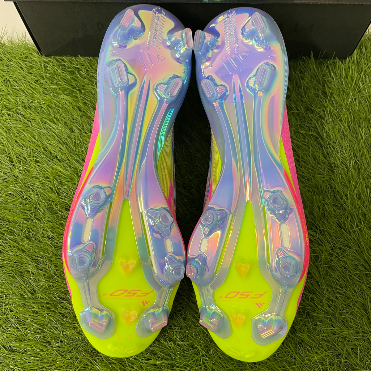 F50 + FG IE1250