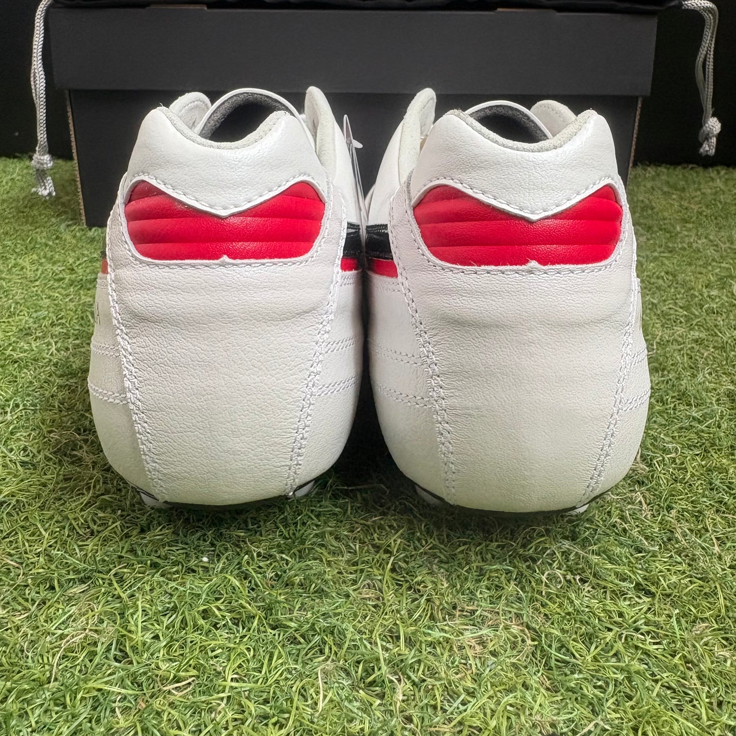 クロスステッチ モレリア2 JAPAN P1GA250209 MADE IN JAPAN