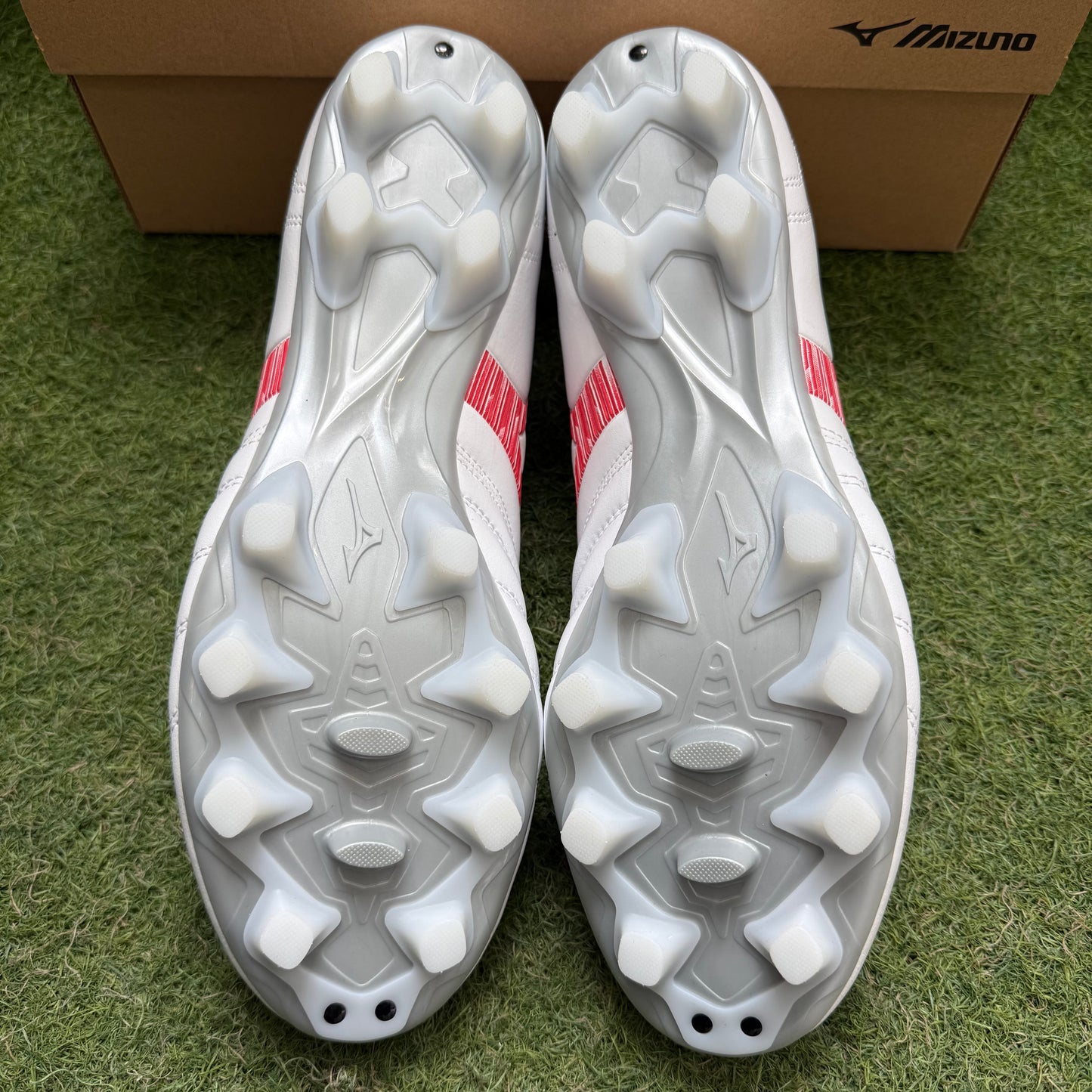 MONARCIDA NEO3  SW P1GA242460 モナルシーダ ネオ3 スーパーワイド