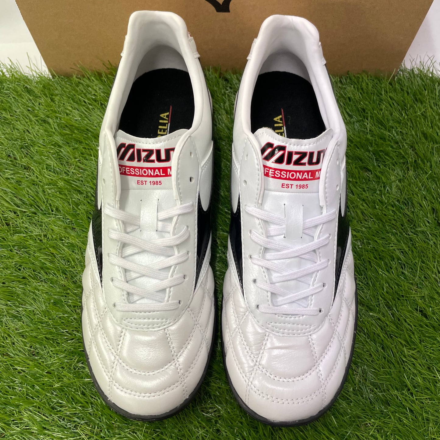 モレリア TF Q1GB190209