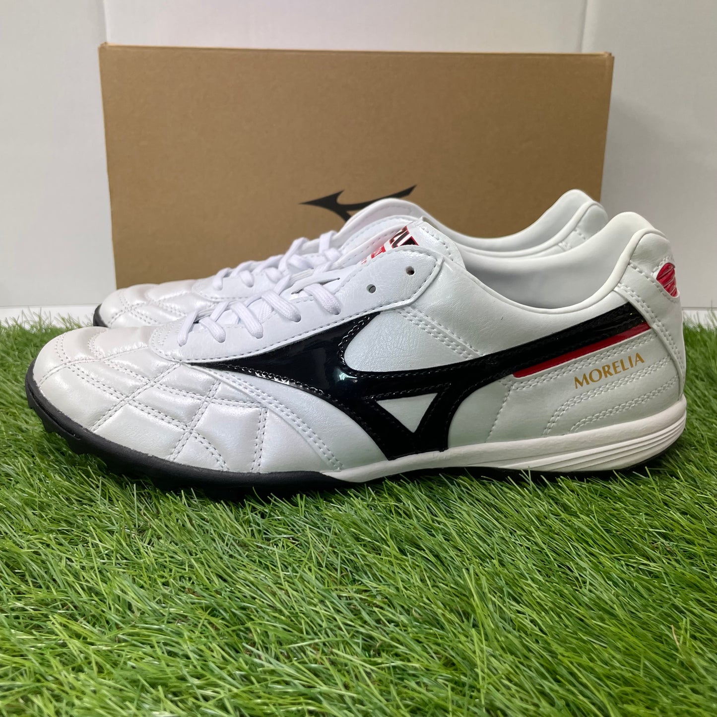 モレリア TF Q1GB190209