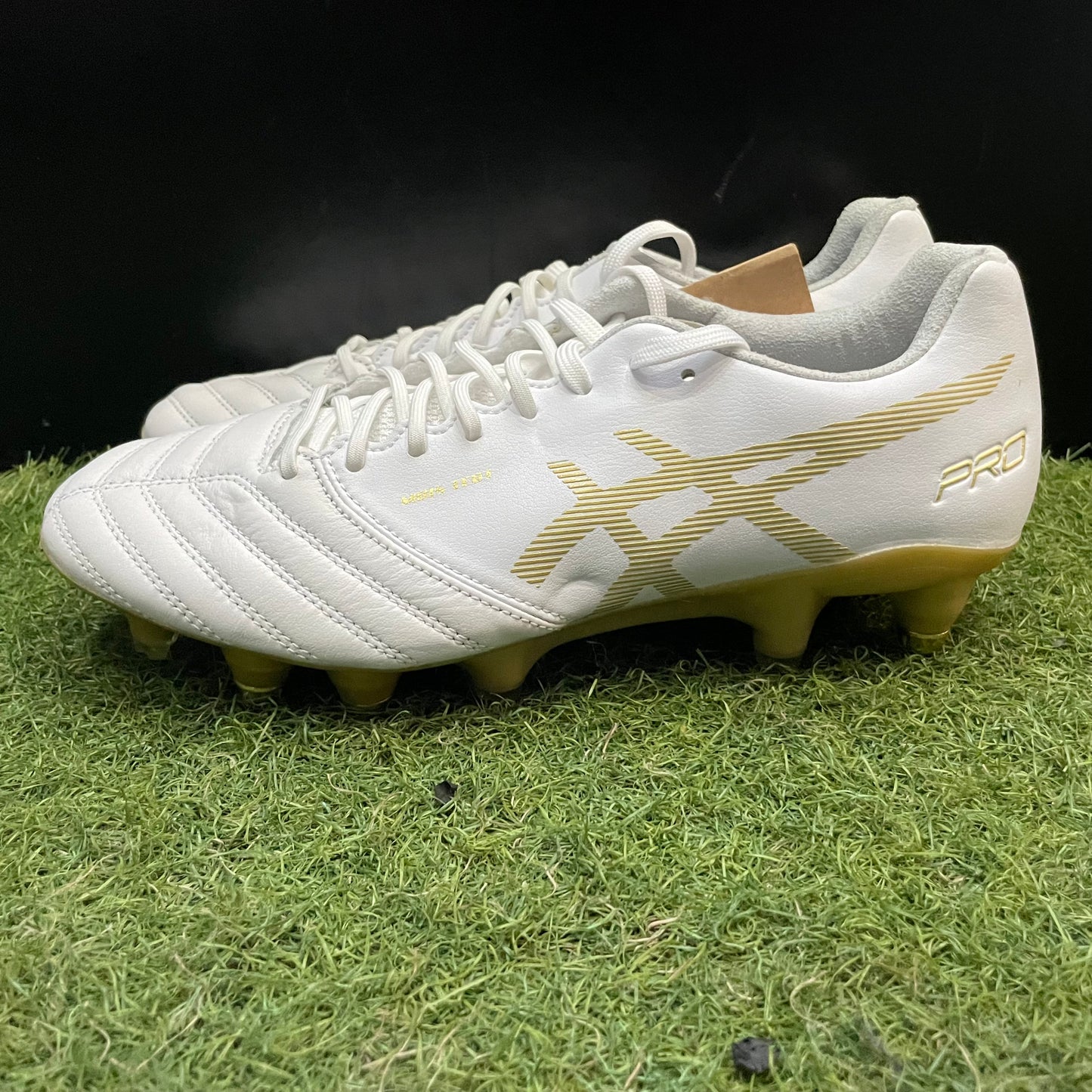 店舗限定 DS LIGHT X-FLY PRO ST 25.0 1101A026
