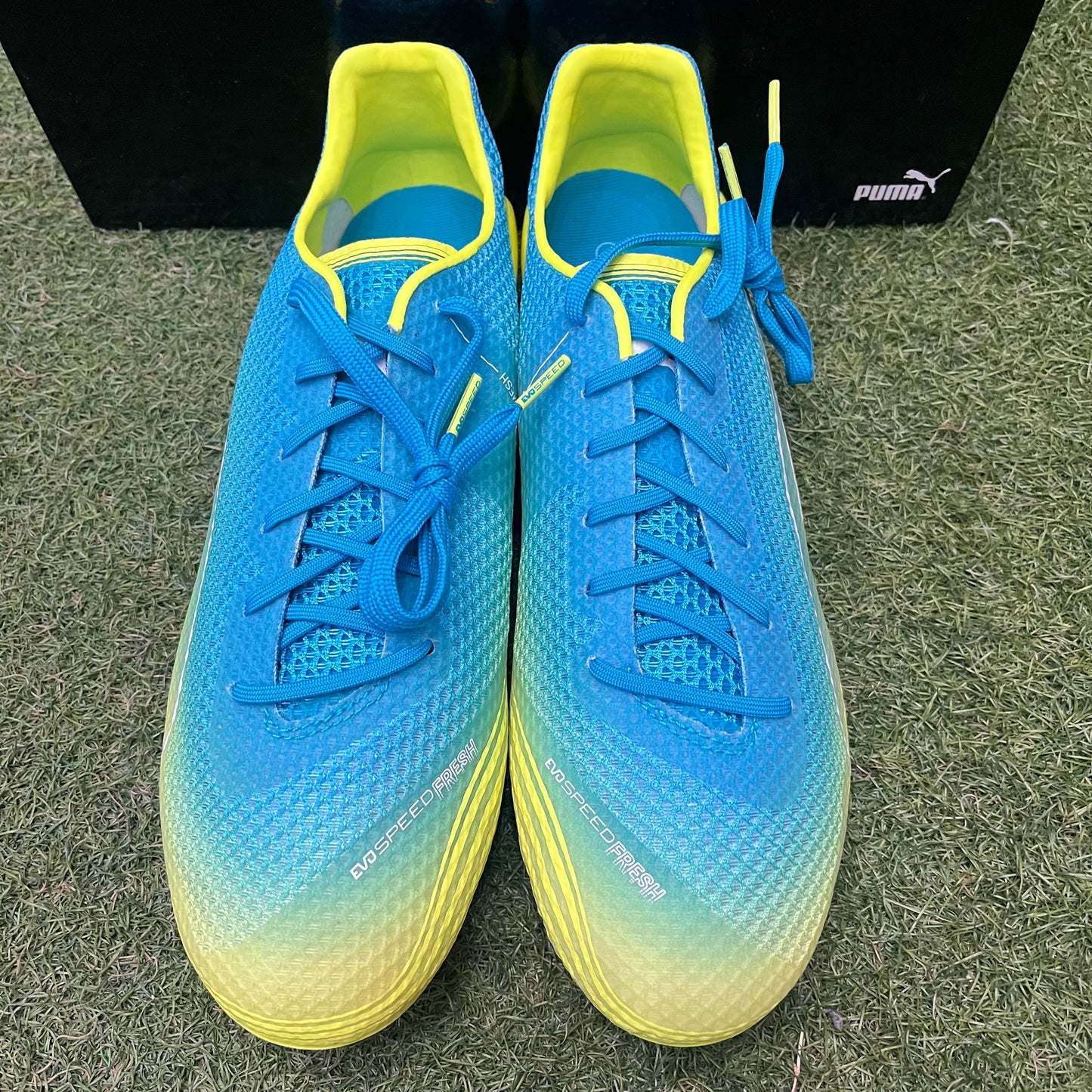 evoSPEED Fresh FG 103579