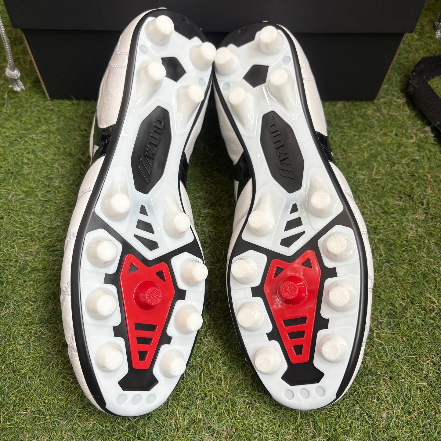 クロスステッチ モレリア2 JAPAN P1GA250209 MADE IN JAPAN