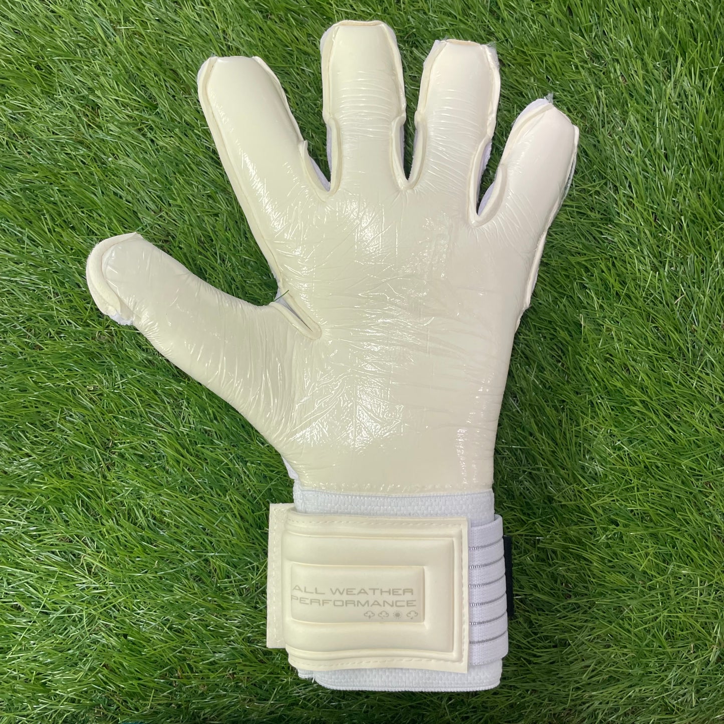 セルス トータルコンタクト ホワイト XC ゴースト　Sells Total Contact XC Ghost