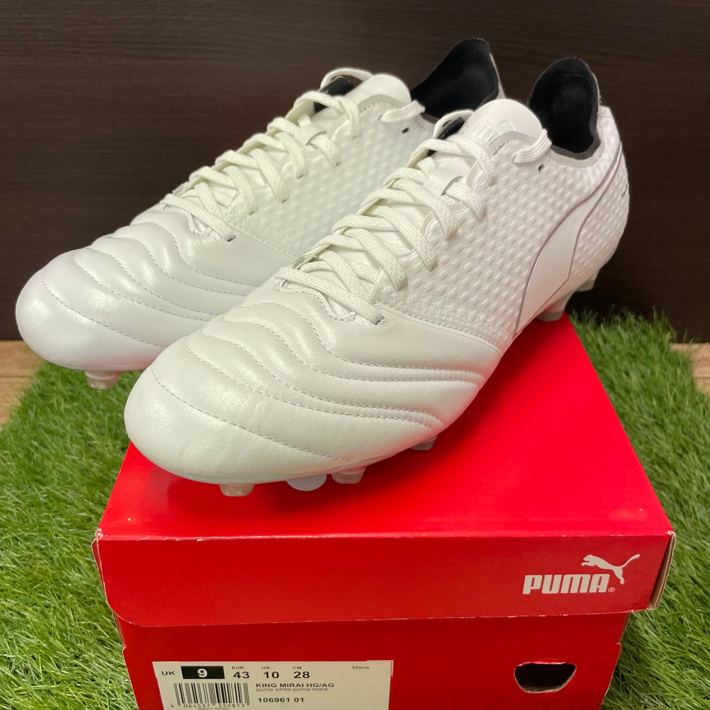 通販限定 KING MIRAI HG/AG 106961 01