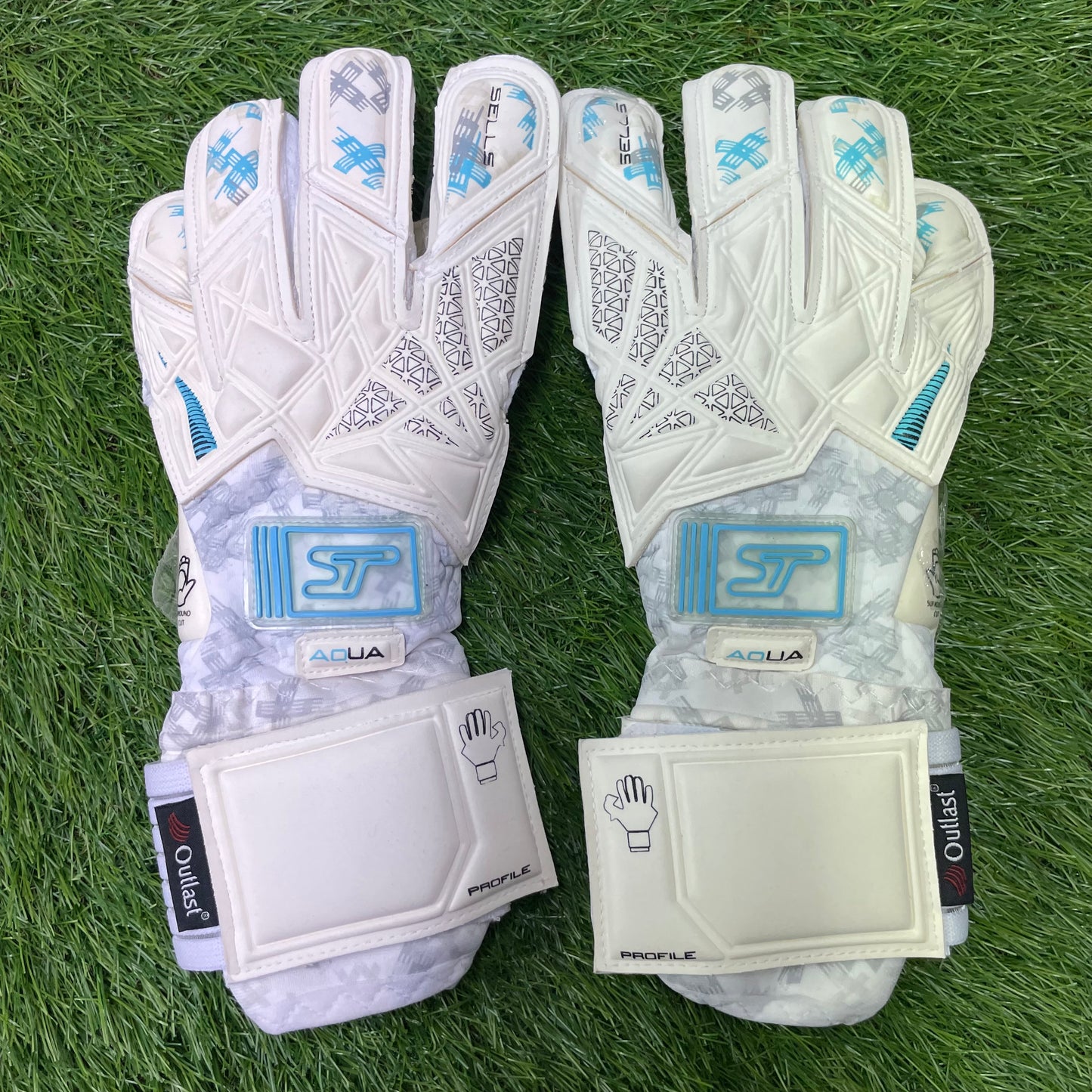 セルス アクア ピュア　Sells Profile Aqua Pure SGP202306G