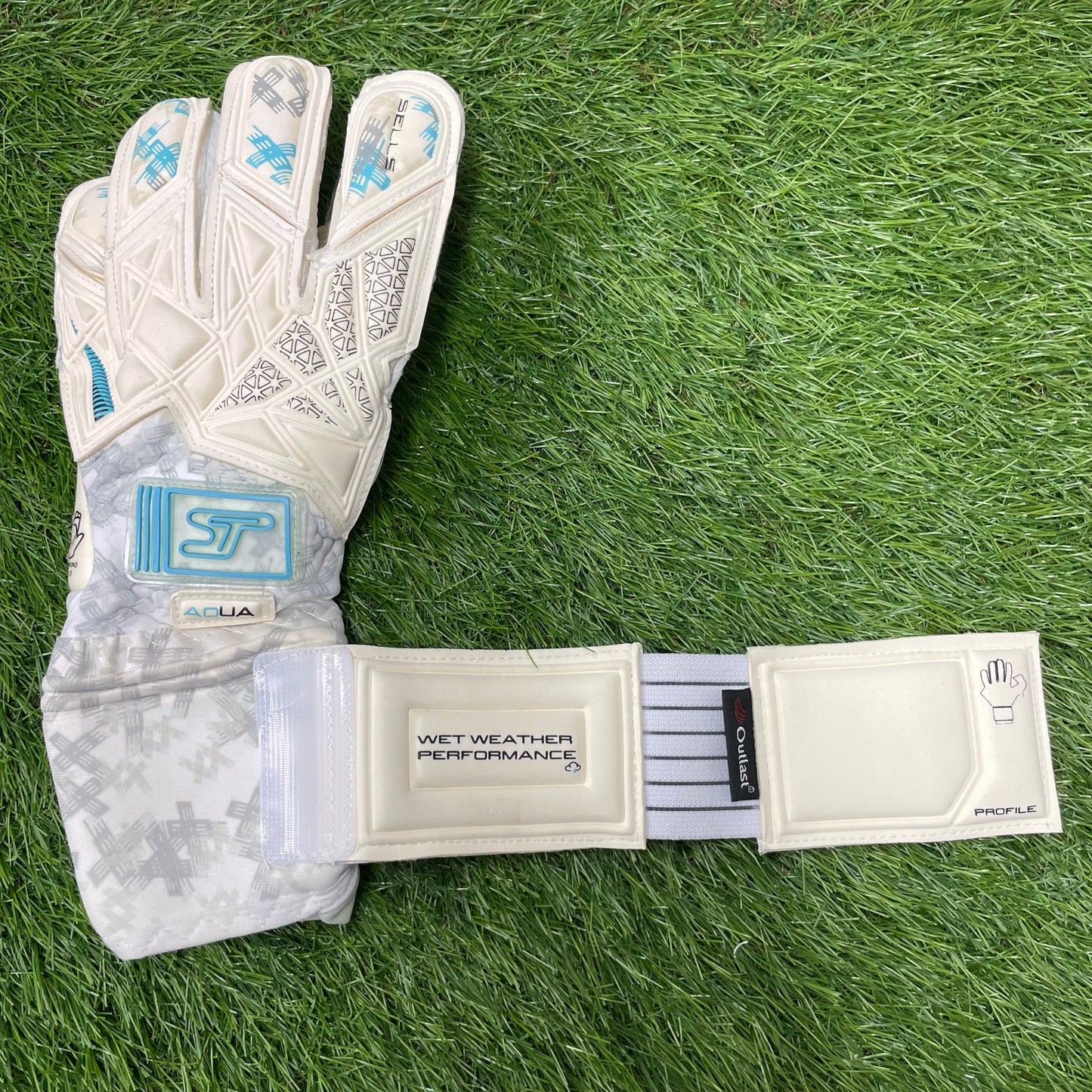 セルス アクア ピュア　Sells Profile Aqua Pure SGP202306G