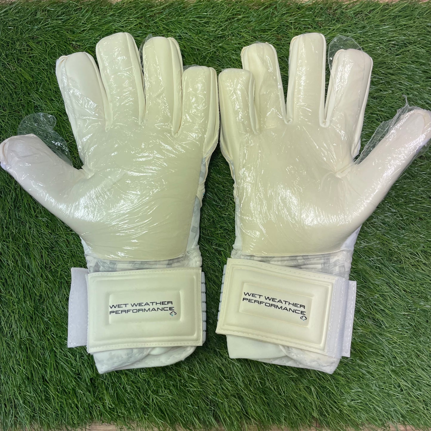 セルス アクア ピュア　Sells F3 Aqua Pure SGP202304G