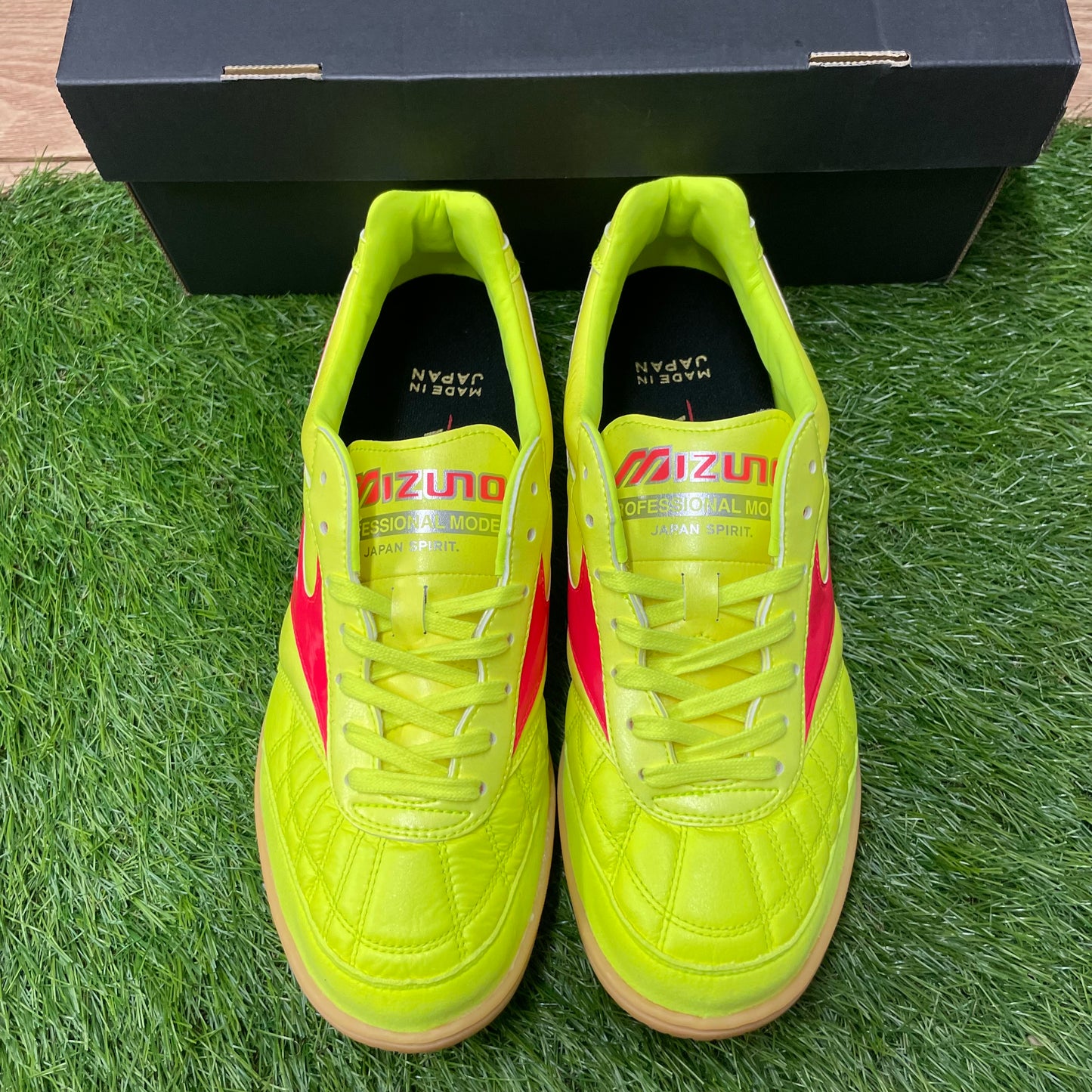 MORELIA SALA JAPAN IN モレリアイン Q1GA240045