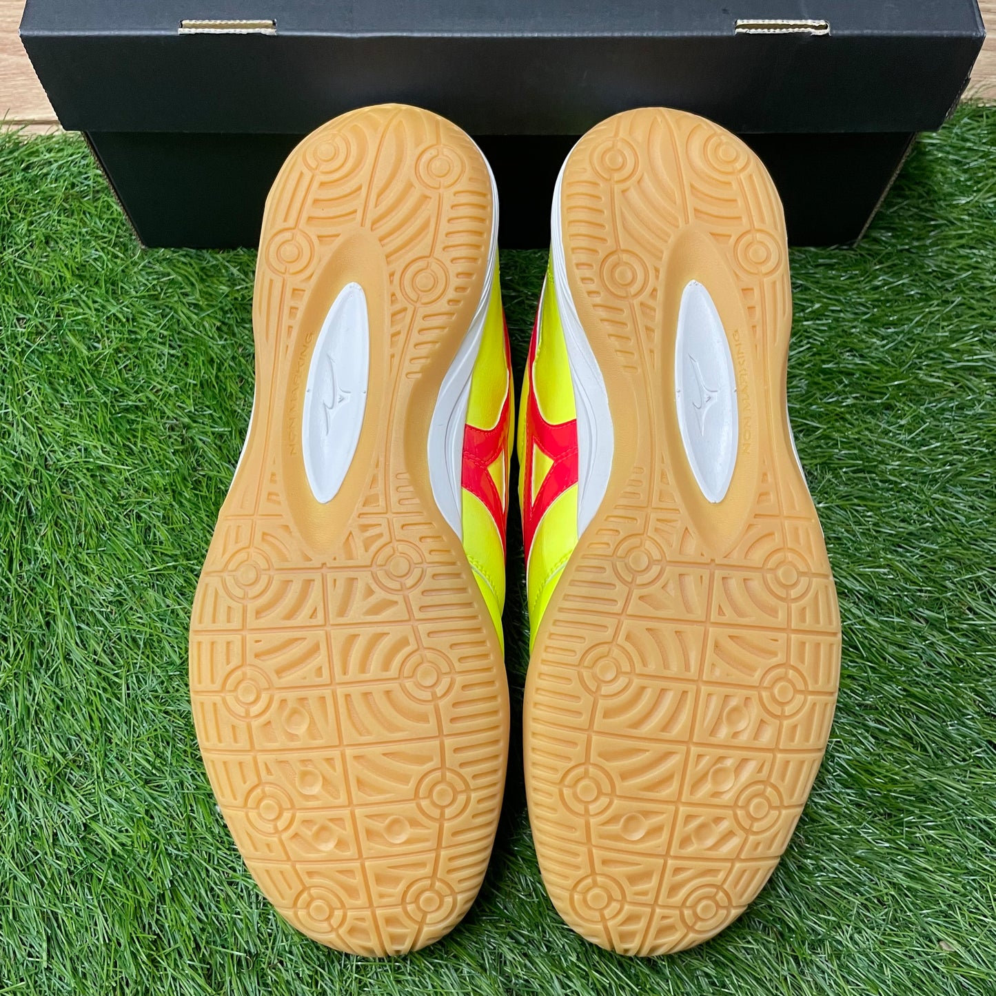 MORELIA SALA JAPAN IN モレリアイン Q1GA240045