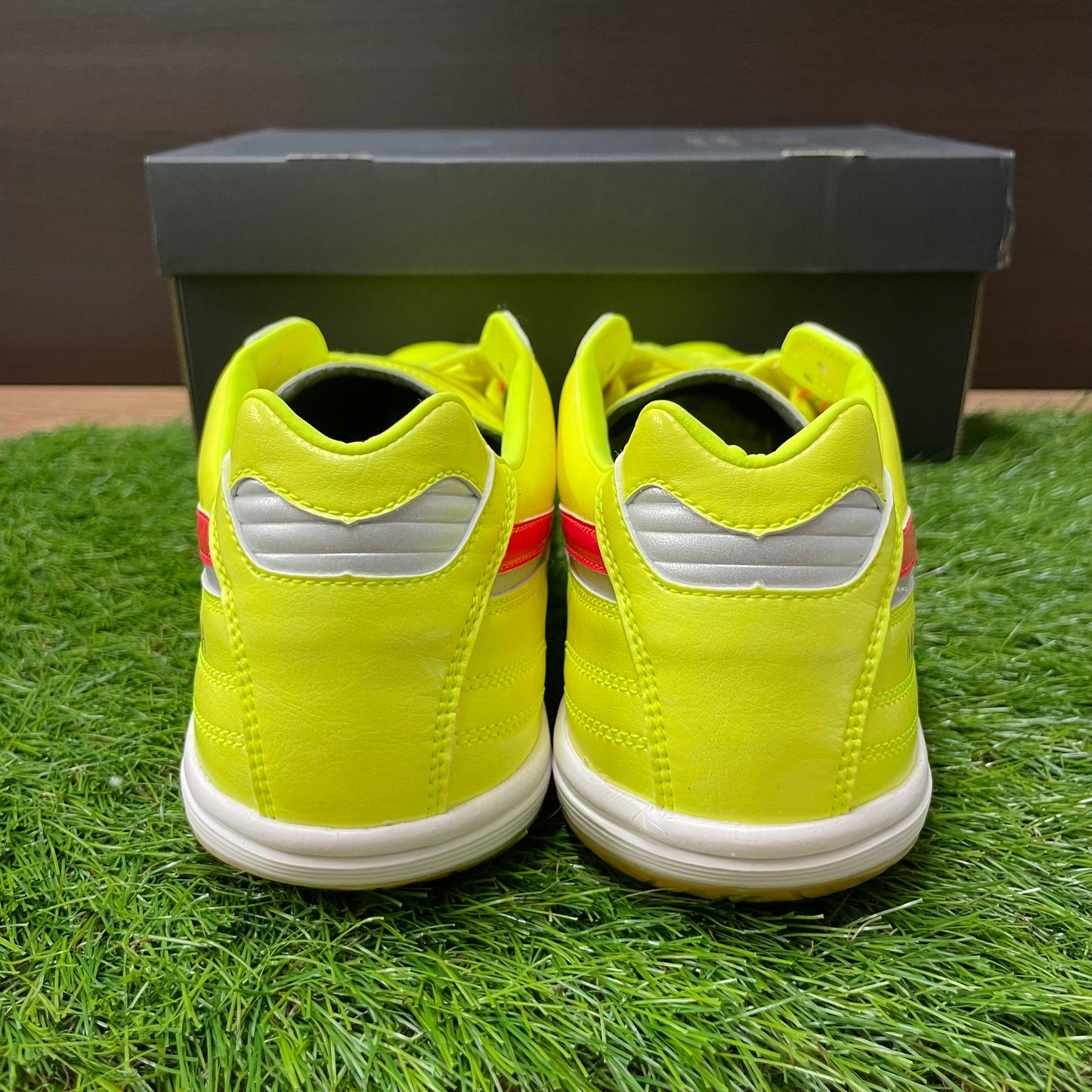 MORELIA SALA JAPAN IN モレリアイン Q1GA240045