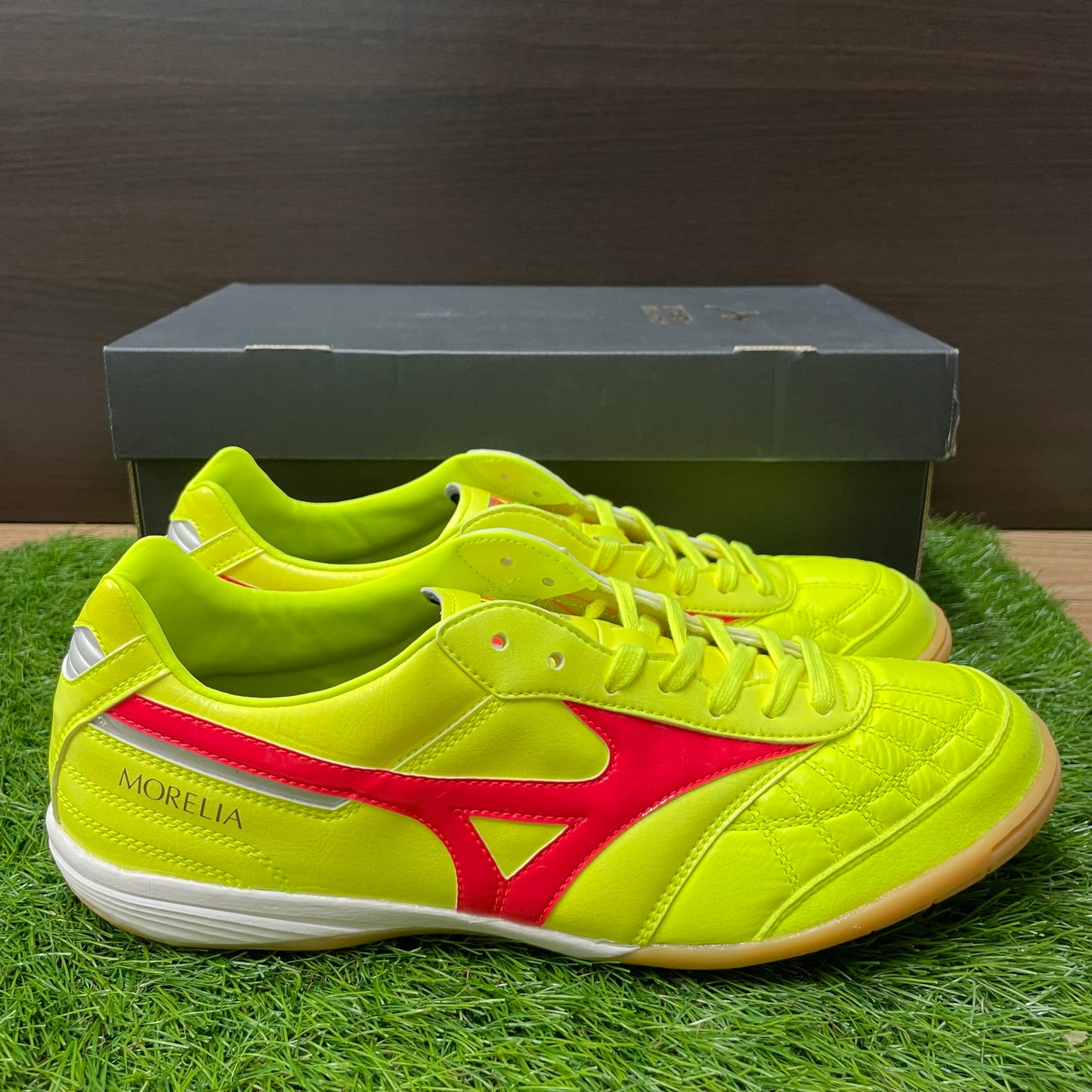 MORELIA SALA JAPAN IN モレリアイン Q1GA240045