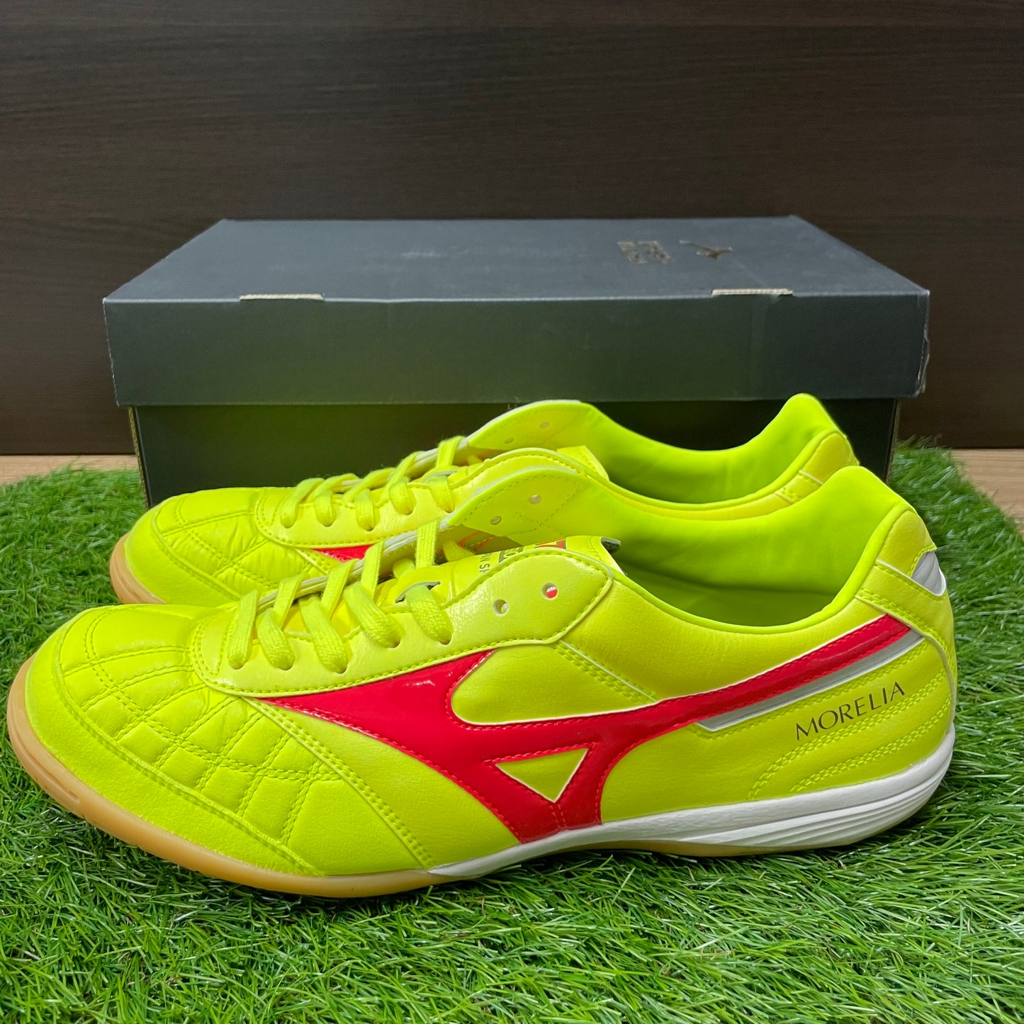 MORELIA SALA JAPAN IN モレリアイン Q1GA240045