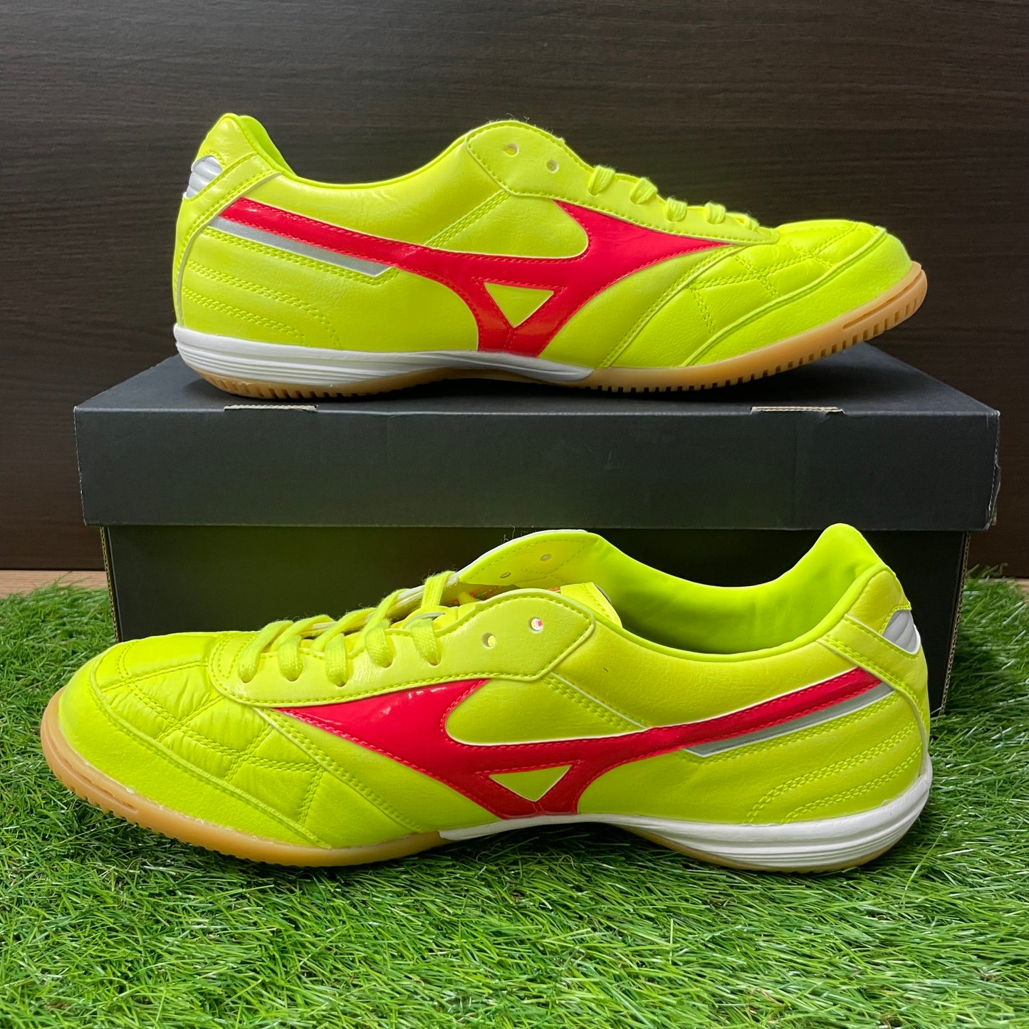 MORELIA SALA JAPAN IN モレリアイン Q1GA240045