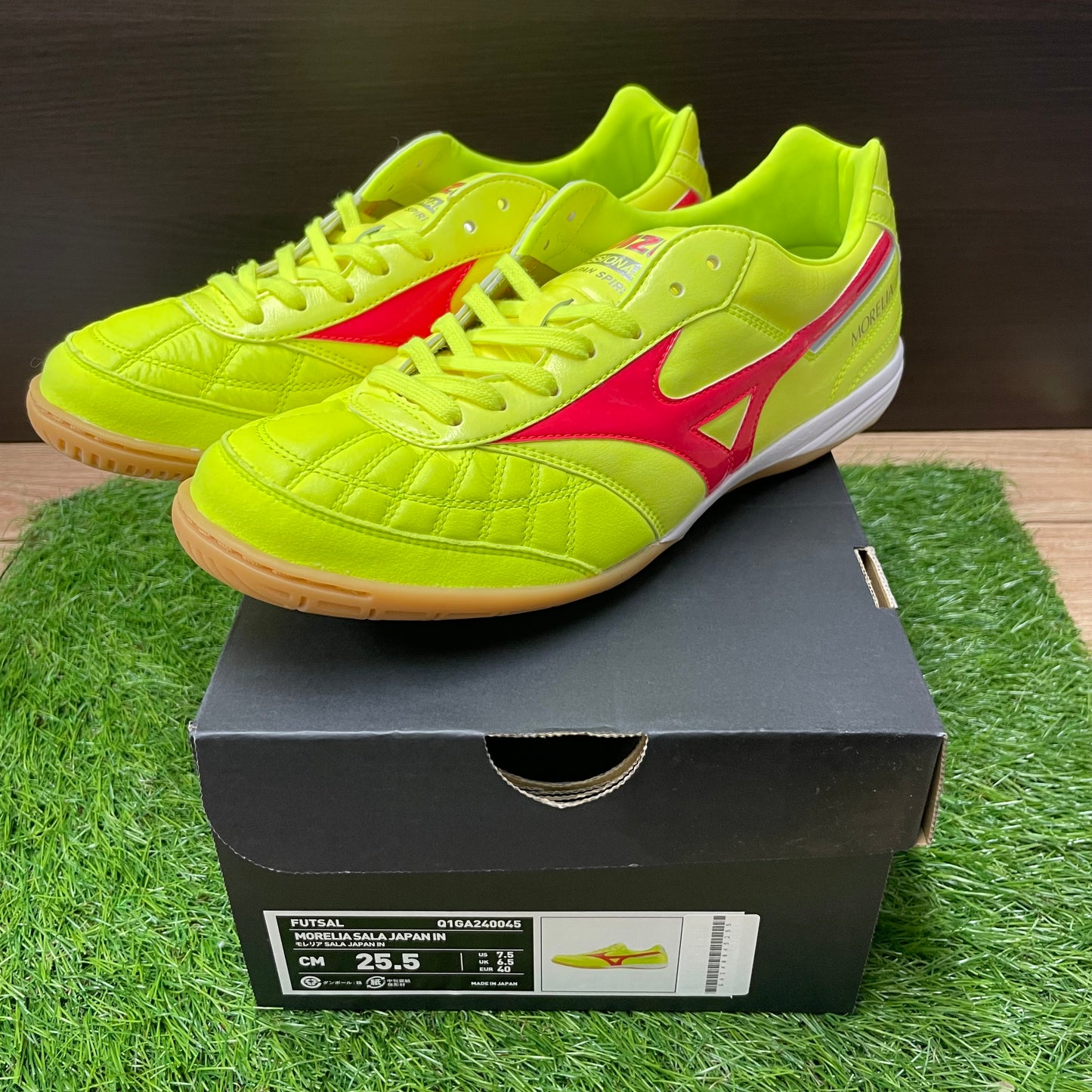 MORELIA SALA JAPAN IN モレリアイン Q1GA240045