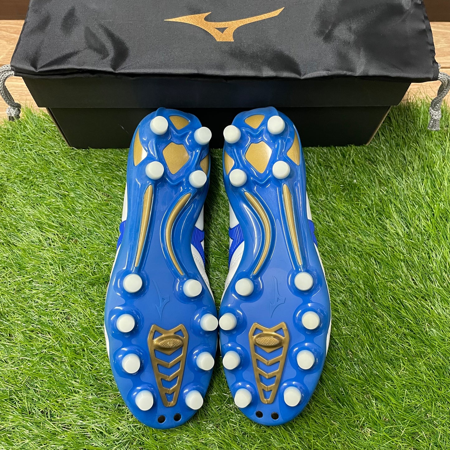 モレリアネオ 2 JAPAN P1GA195019 Morelia neo2