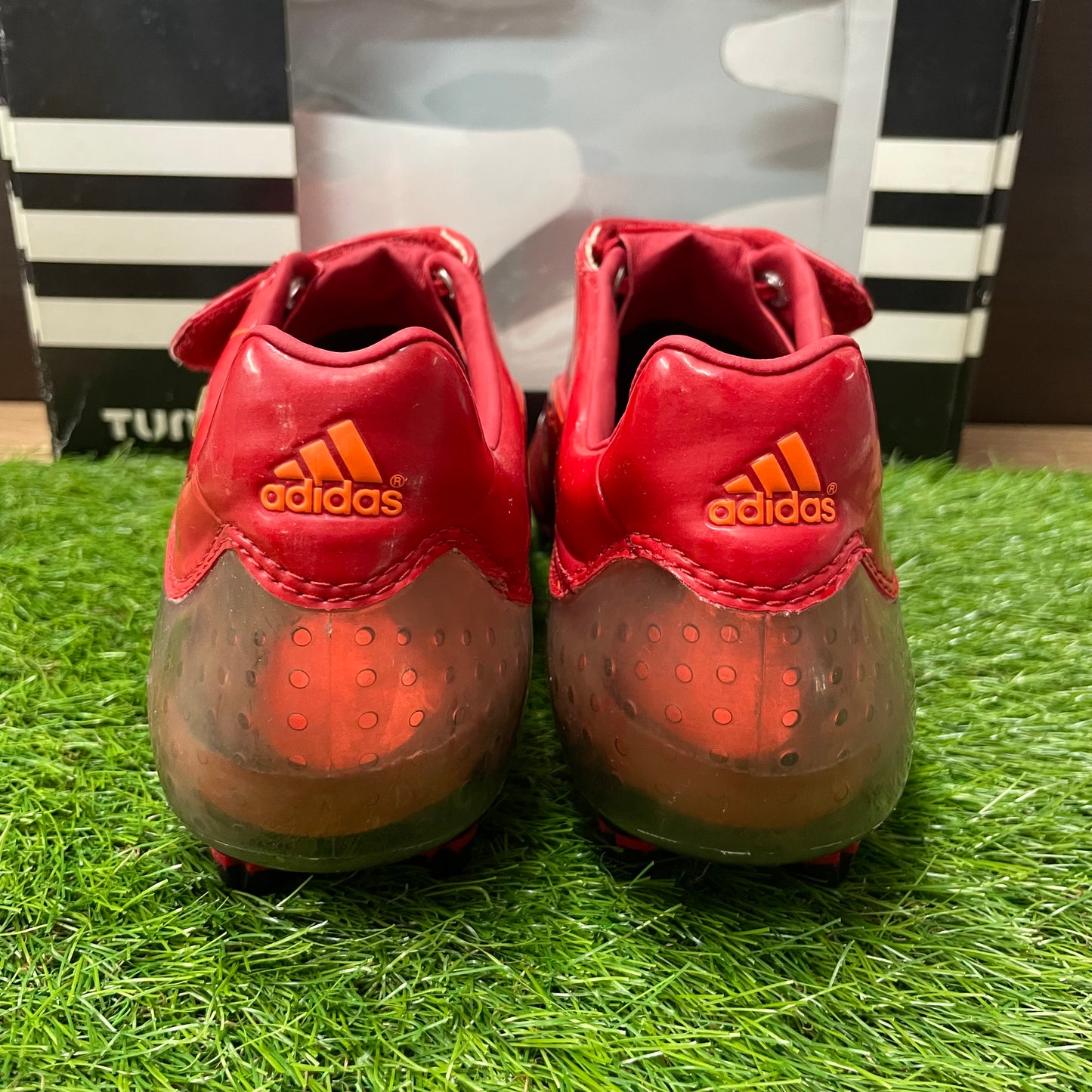 F50 2008 TUNIT スターターパッケージ　017289