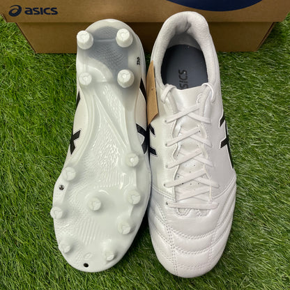 通販限定 DS LIGHT PRO WIDE 1103A110 101