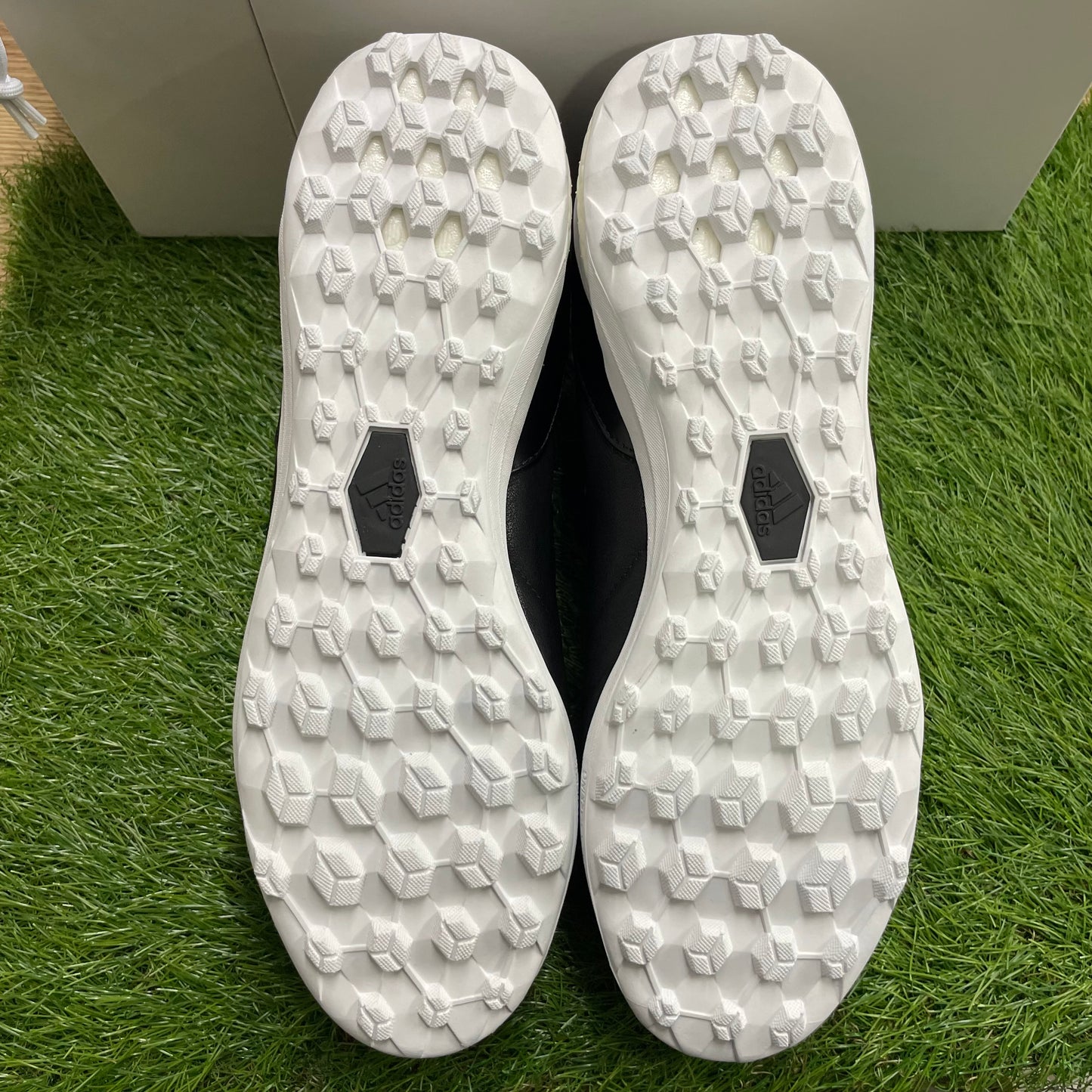 PREDATOR19.1 TR D98056