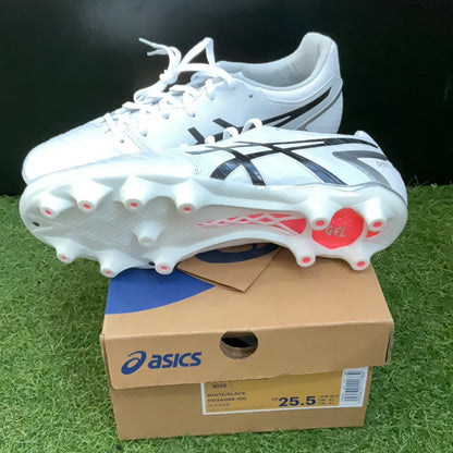 通販限定 DS LIGHT WIDE 3E 1103A069 100