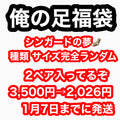 シンガードの夢   ランダム2ペア 1/7までに発送  #俺の足福袋