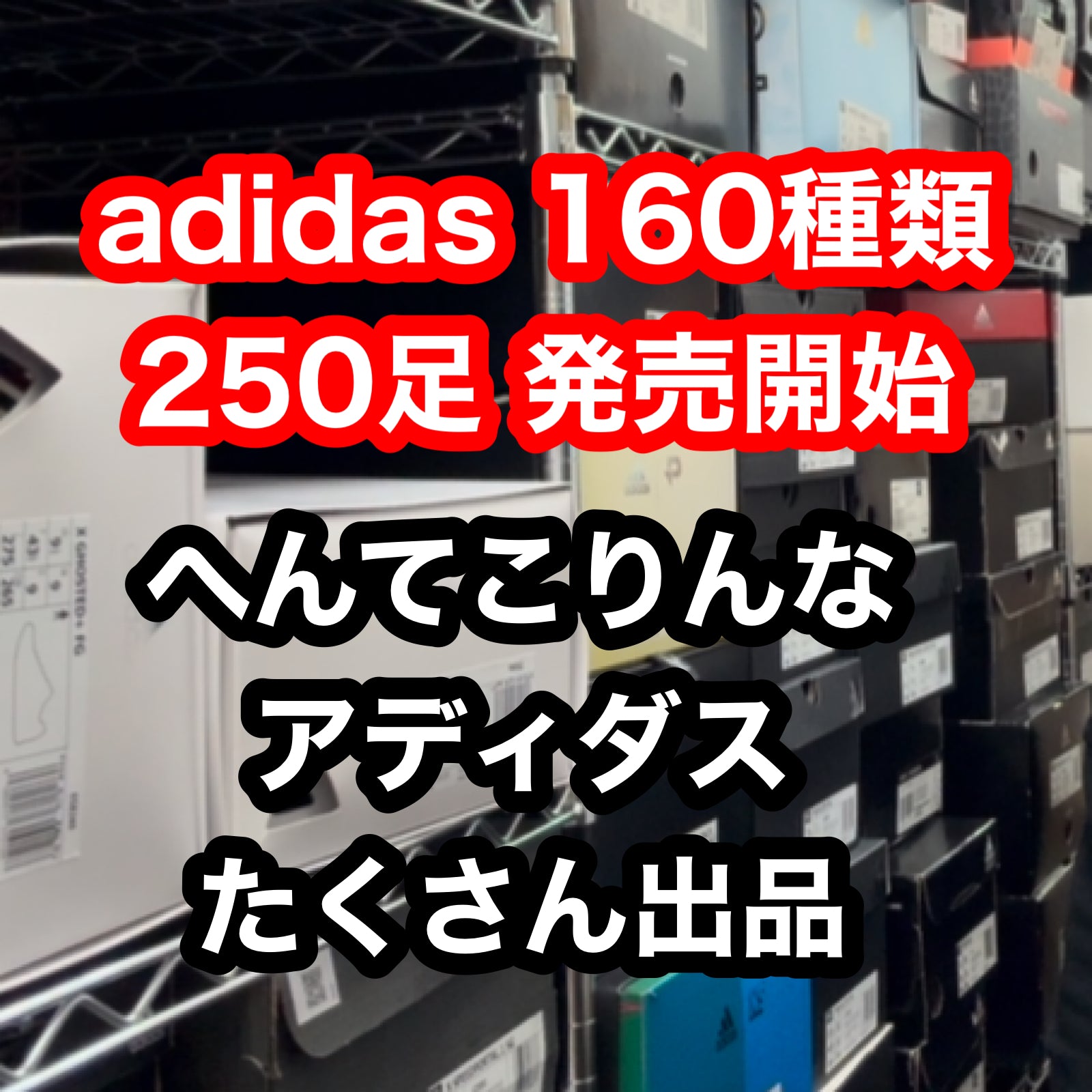 おれのスパイク おれのスパイク