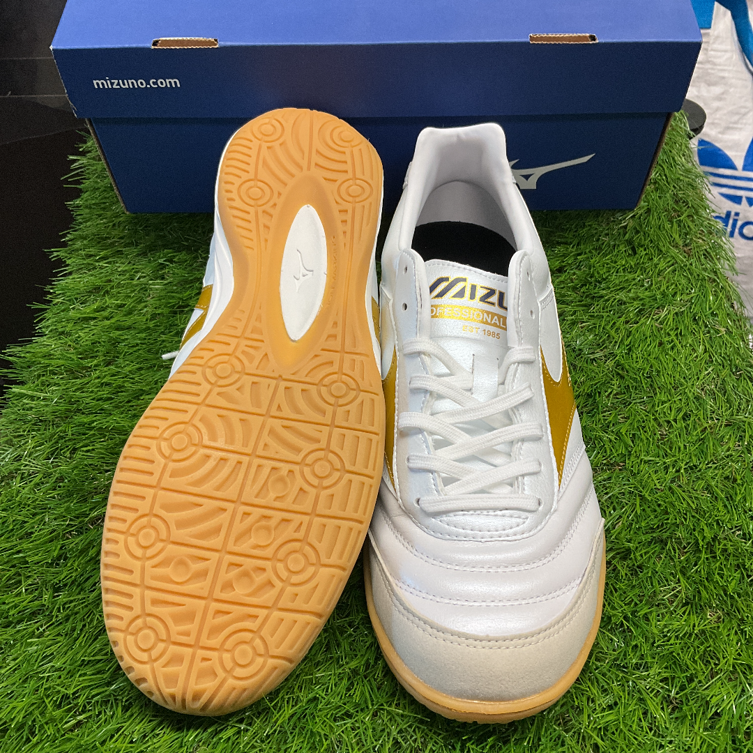 Morelia in モレリアイン Q1GA200150