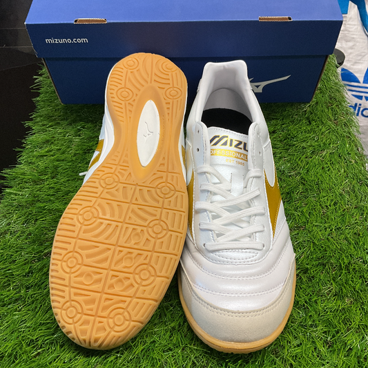 Morelia in モレリアイン Q1GA200150