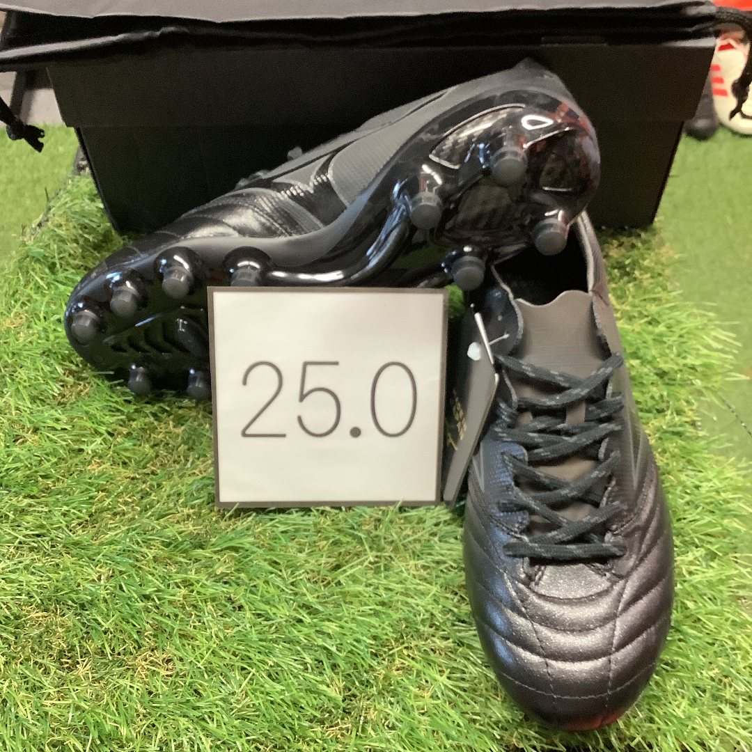 モレリアネオ 2 β P1GA205800 Morelia neo2