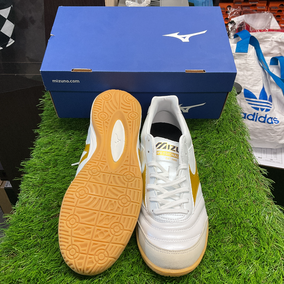 Morelia in モレリアイン Q1GA200150