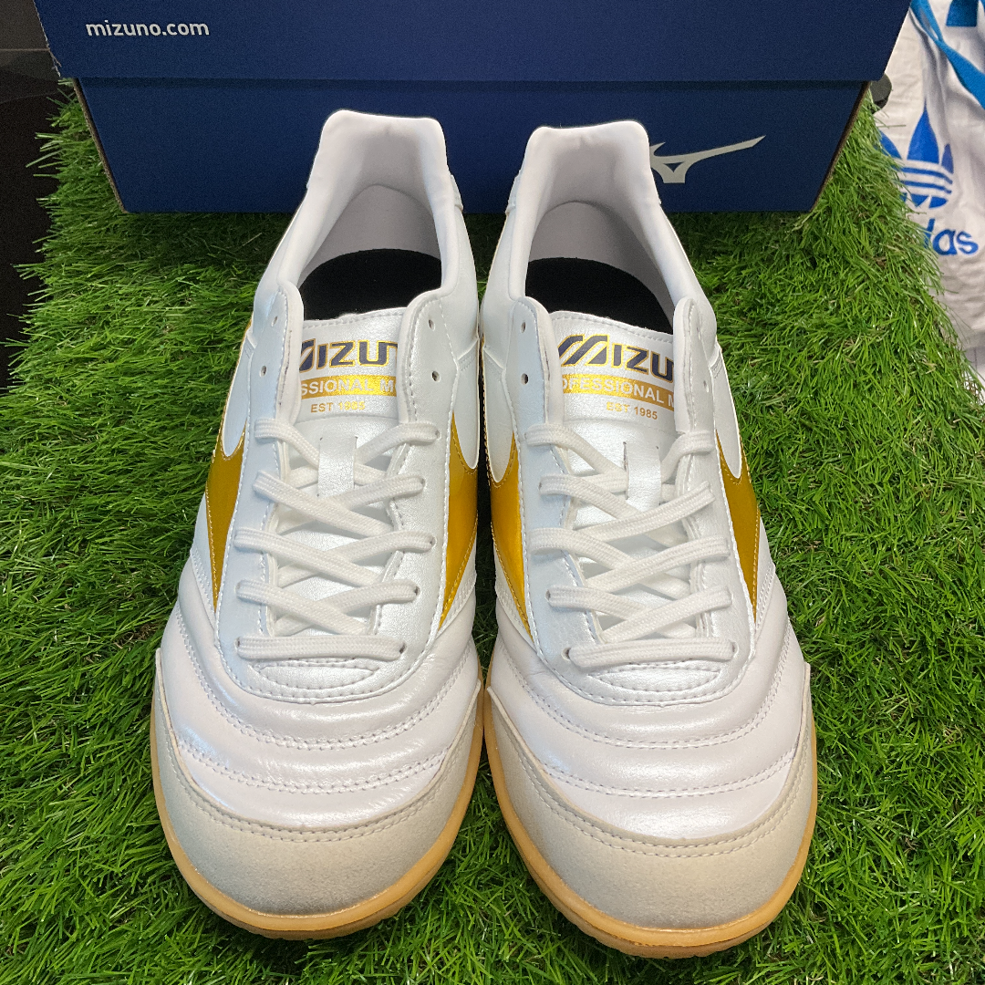 Morelia in モレリアイン Q1GA200150