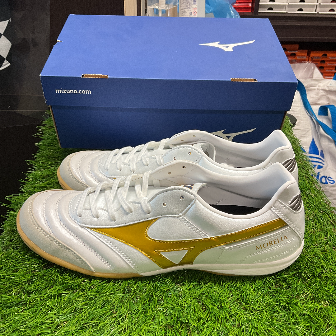 Morelia in モレリアイン Q1GA200150