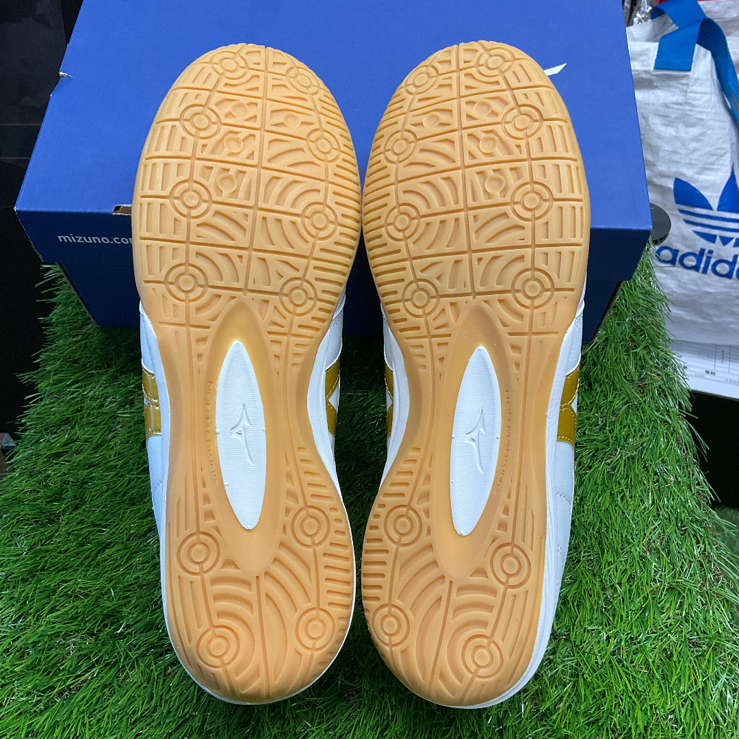 Morelia in モレリアイン Q1GA200150