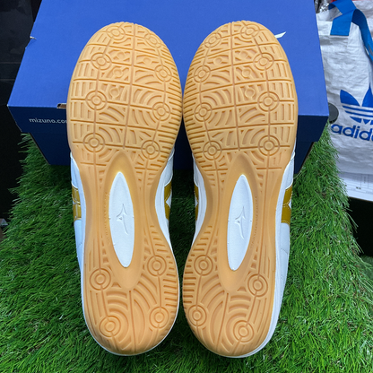 Morelia in モレリアイン Q1GA200150